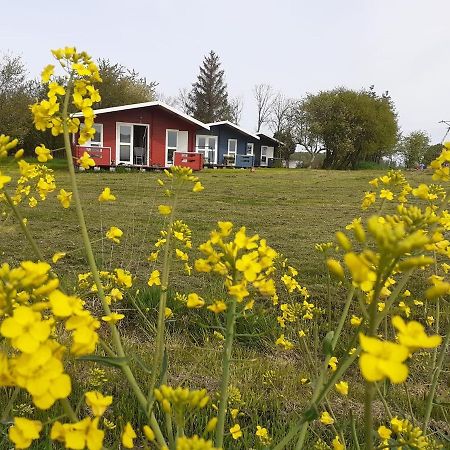 Kiszkowianka Domki Skrzeszewo  Exterior foto