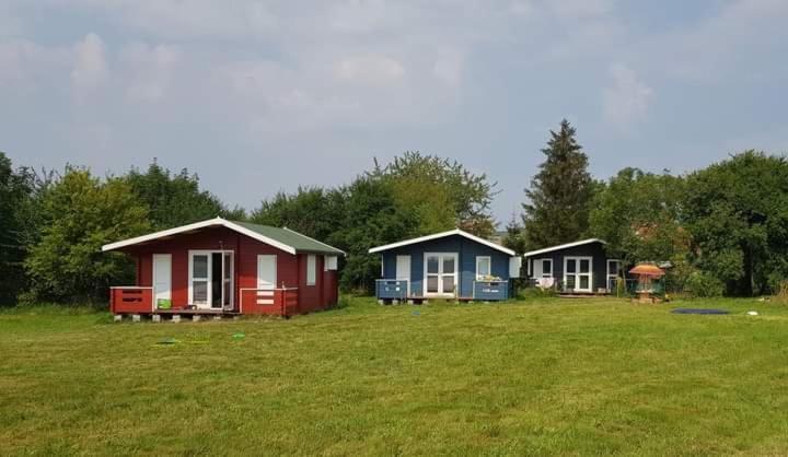 Kiszkowianka Domki Skrzeszewo  Exterior foto
