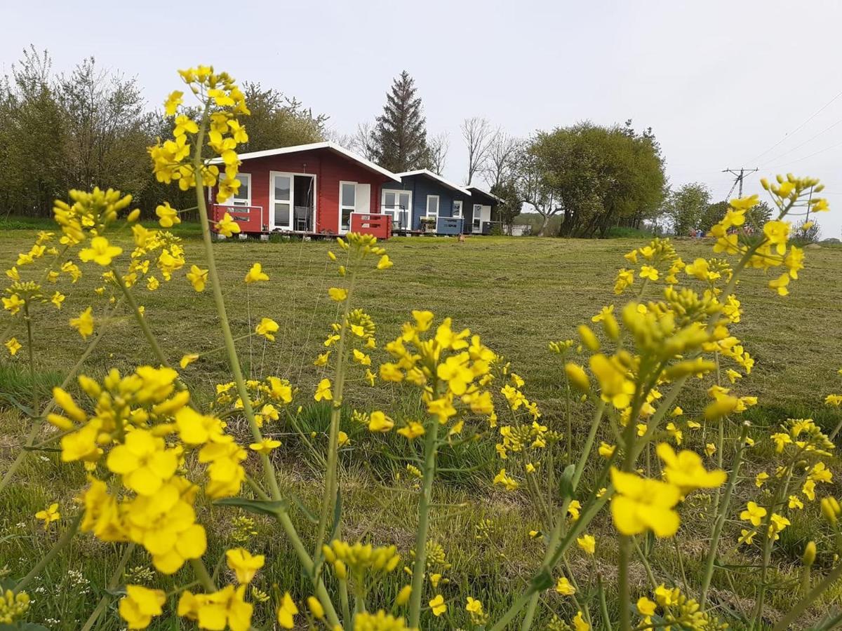 Kiszkowianka Domki Skrzeszewo  Exterior foto