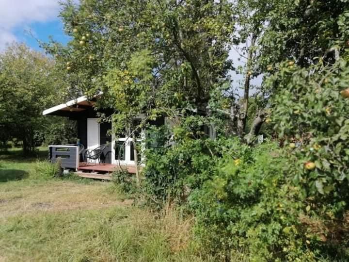 Kiszkowianka Domki Skrzeszewo  Exterior foto